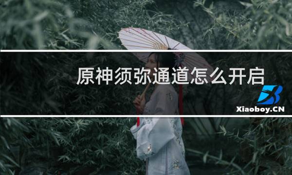 原神须弥通道怎么开启
