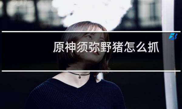 原神须弥野猪怎么抓