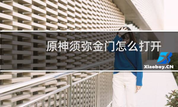 原神须弥金门怎么打开