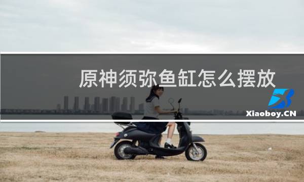 原神须弥鱼缸怎么摆放