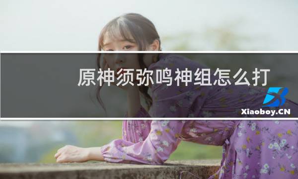 原神须弥鸣神组怎么打