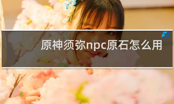 原神须弥npc原石怎么用