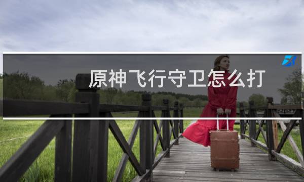 原神飞行守卫怎么打