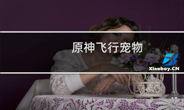 原神飞行宠物 怎么取消