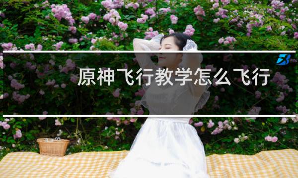 原神飞行教学怎么飞行