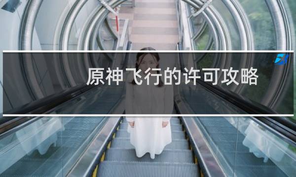 原神飞行的许可攻略