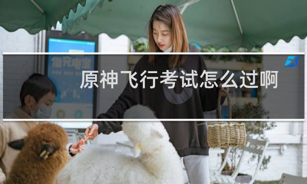 原神飞行考试怎么过啊