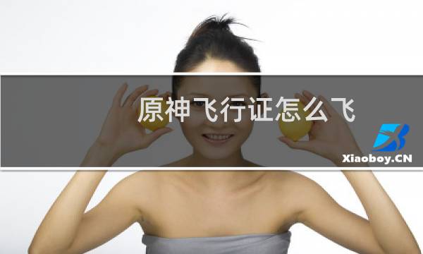 原神飞行证怎么飞