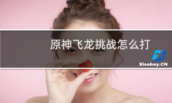 原神飞龙挑战怎么打