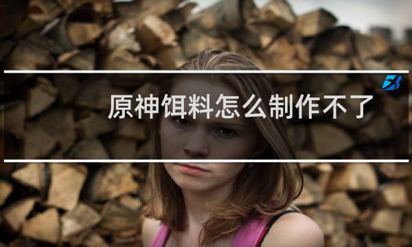 原神饵料怎么制作不了