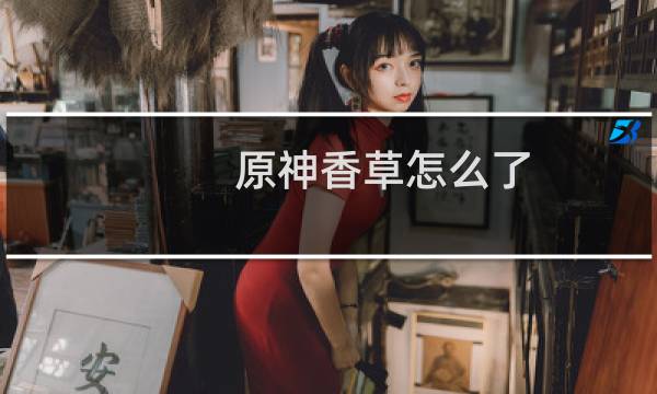 原神香草怎么了
