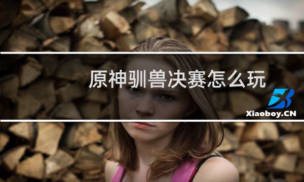 原神驯兽决赛怎么玩