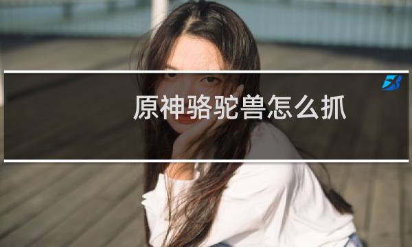 原神骆驼兽怎么抓