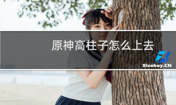 原神高柱子怎么上去