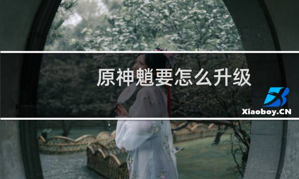 原神魈要怎么升级