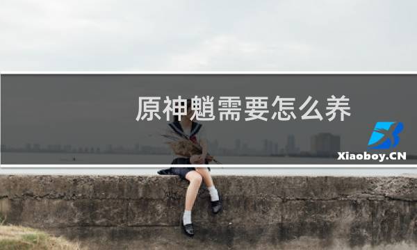 原神魈需要怎么养