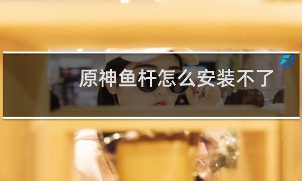 原神鱼杆怎么安装不了