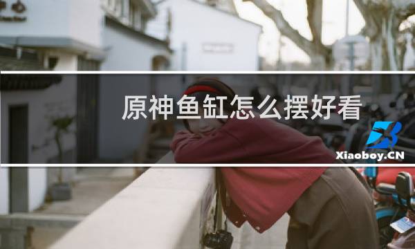 原神鱼缸怎么摆好看