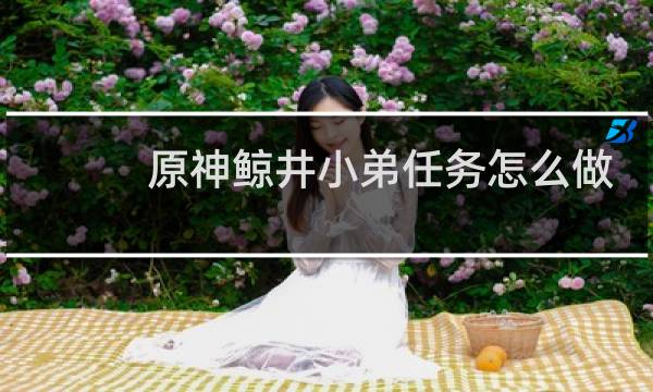 原神鲸井小弟任务怎么做