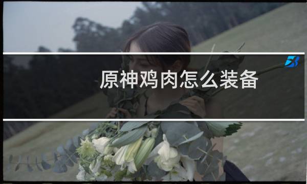 原神鸡肉怎么装备