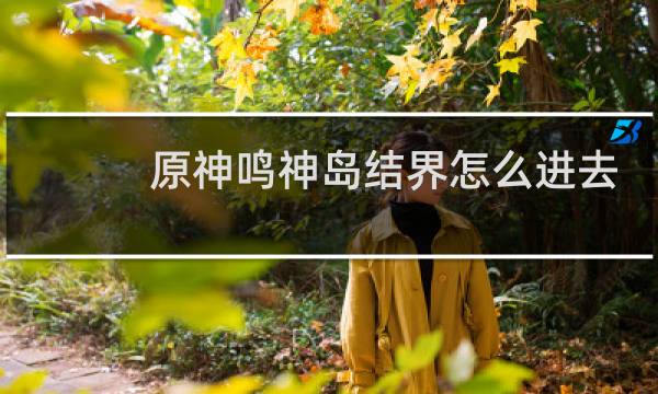 原神鸣神岛结界怎么进去