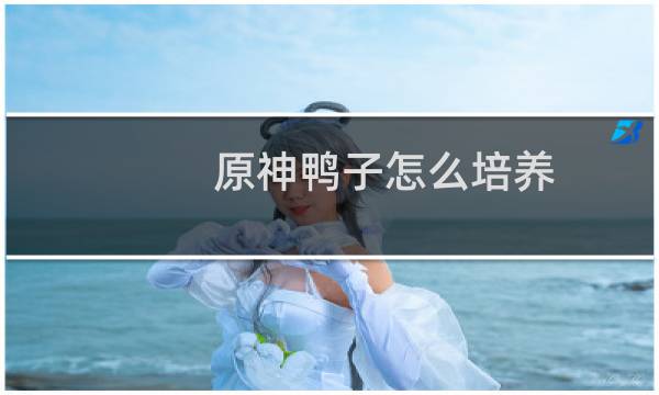 原神鸭子怎么培养