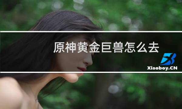 原神黄金巨兽怎么去