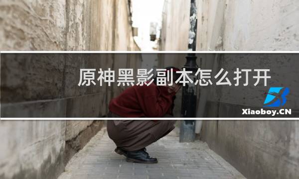 原神黑影副本怎么打开