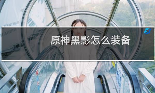 原神黑影怎么装备