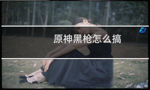 原神黑枪怎么搞