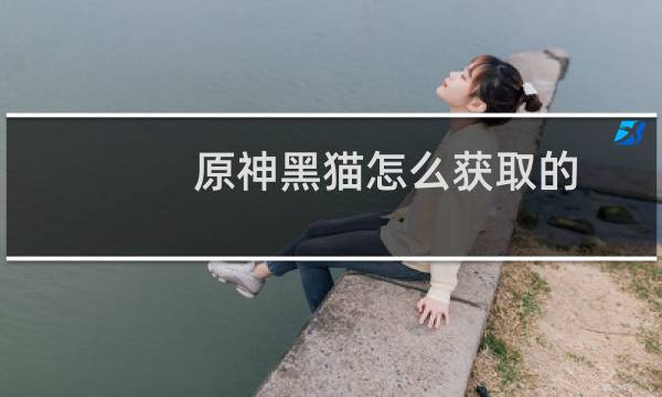 原神黑猫怎么获取的