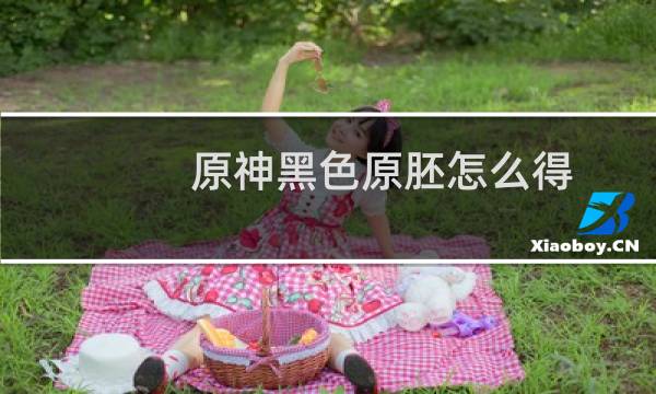 原神黑色原胚怎么得