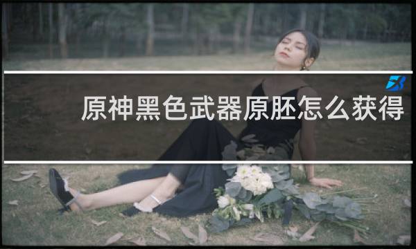 原神黑色武器原胚怎么获得