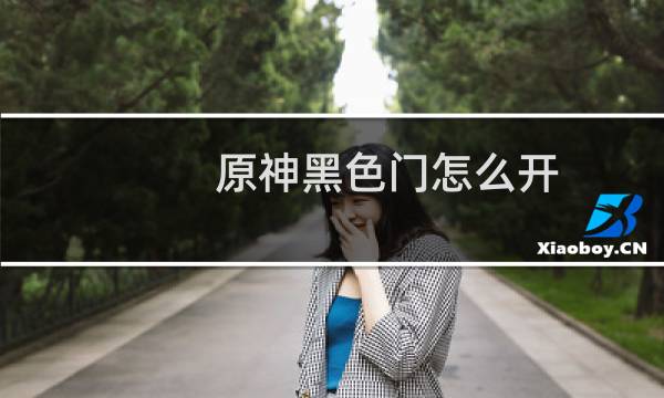 原神黑色门怎么开