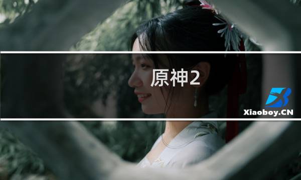 原神2.5魈怎么配