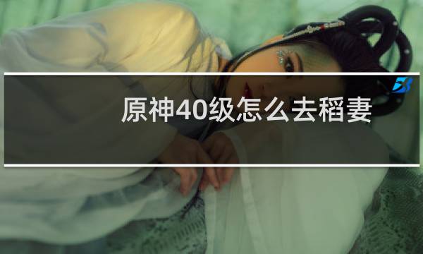 原神40级怎么去稻妻