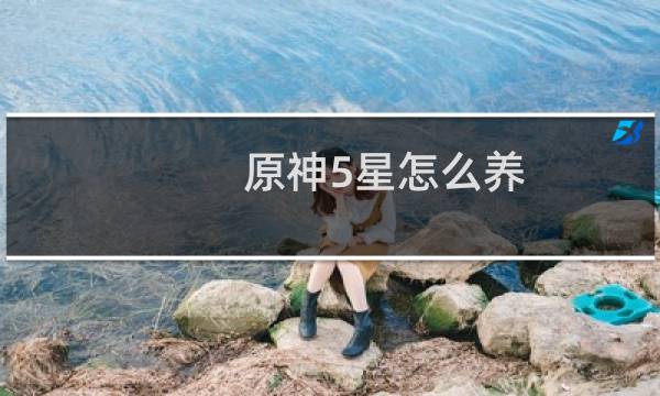 原神5星怎么养