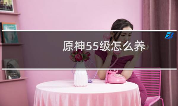 原神55级怎么养