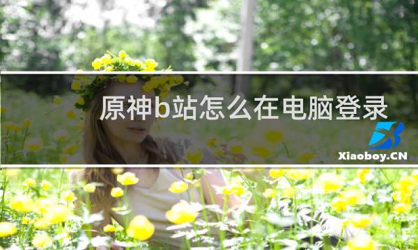 原神b站怎么在电脑登录