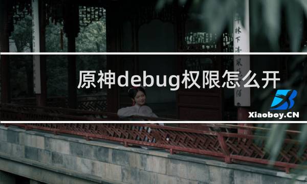 原神debug权限怎么开