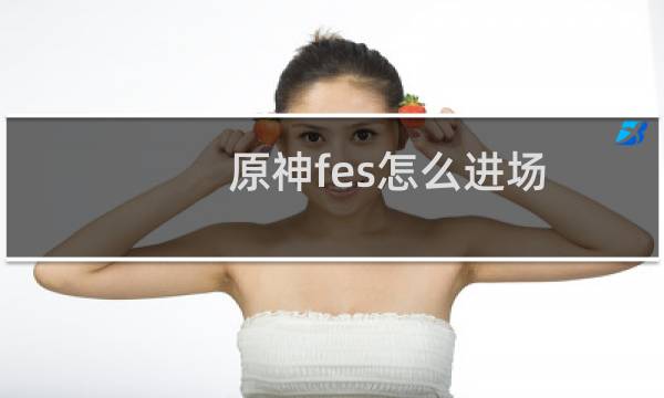 原神fes怎么进场