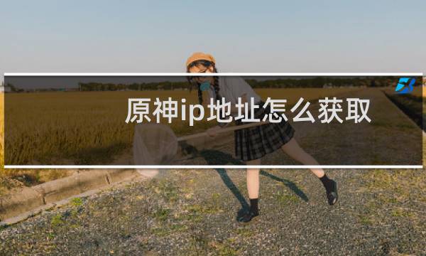 原神ip地址怎么获取