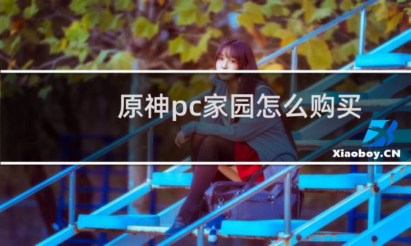 原神pc家园怎么购买