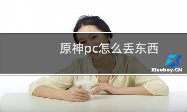 原神pc怎么丢东西