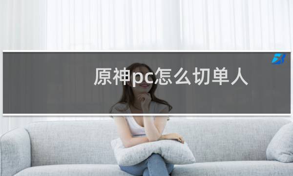 原神pc怎么切单人