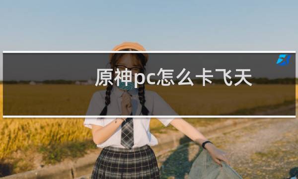 原神pc怎么卡飞天