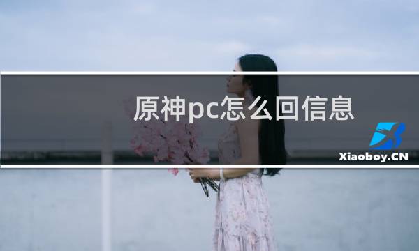 原神pc怎么回信息