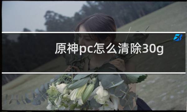 原神pc怎么清除30g