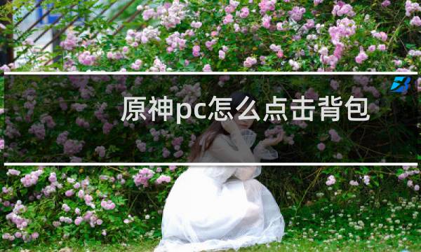 原神pc怎么点击背包