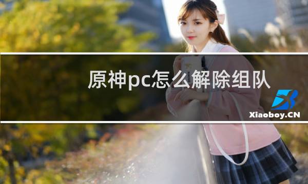 原神pc怎么解除组队